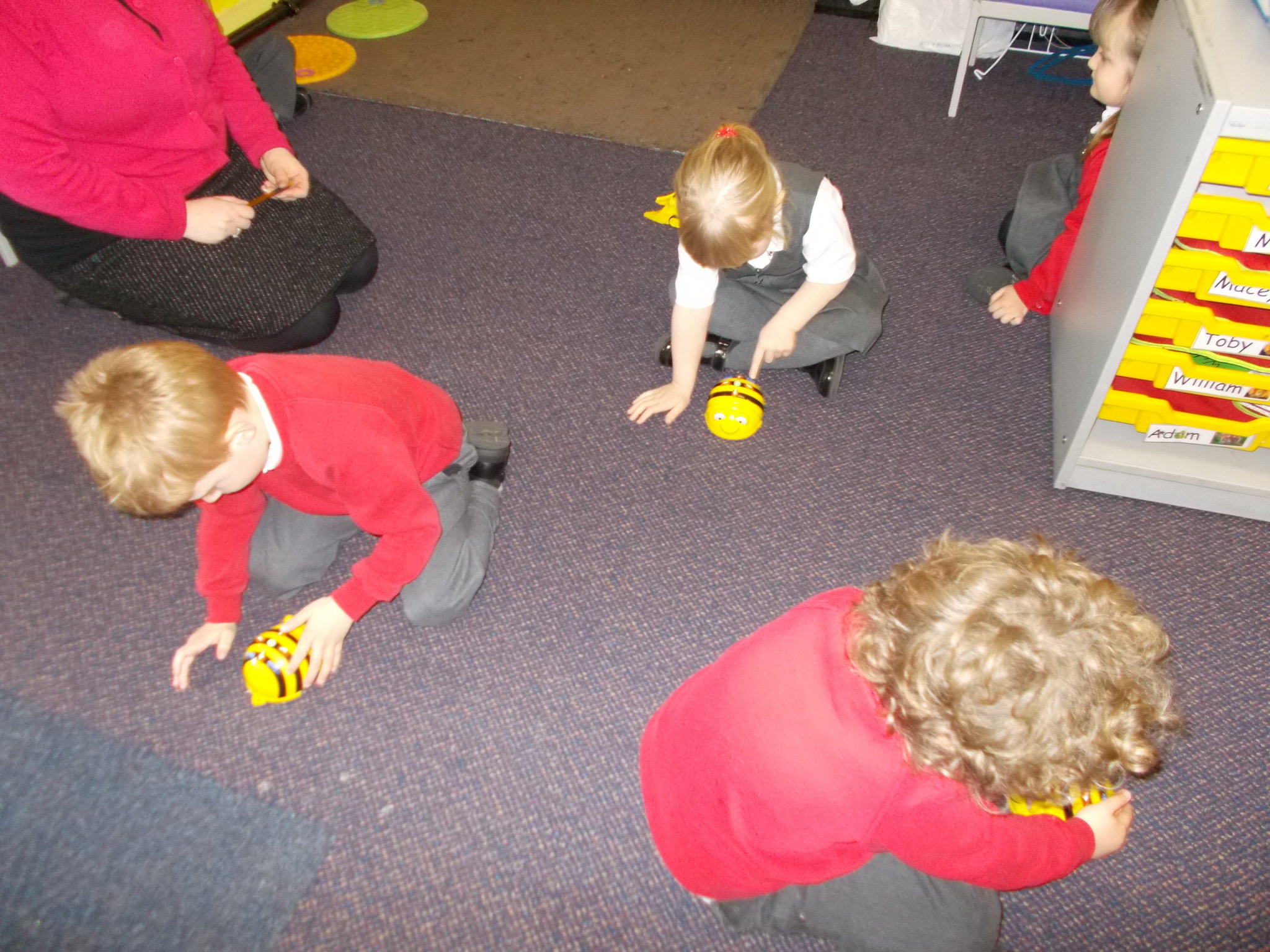 Image of Bee-bots!
